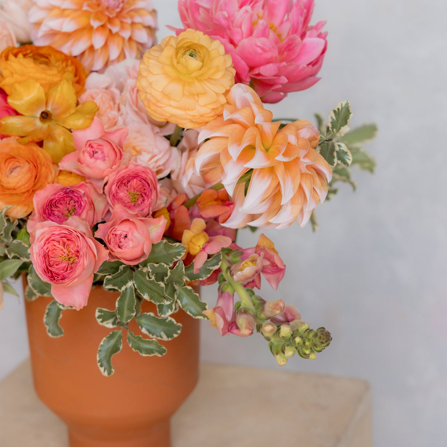 Accent Floral - Vibrant Sorbet