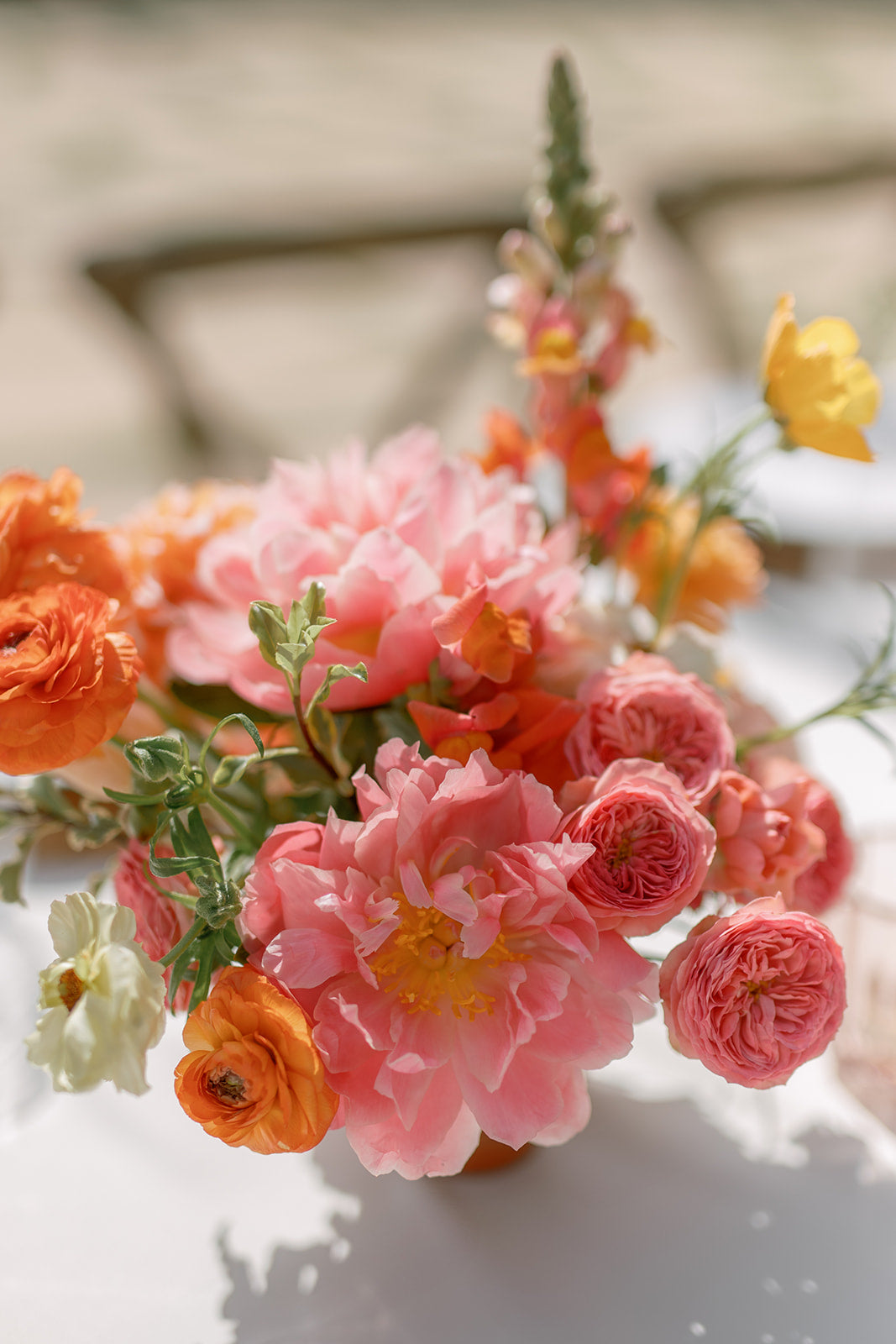 Accent Floral - Vibrant Sorbet