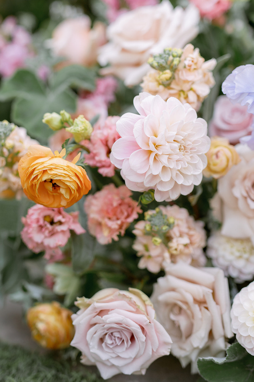 Accent Floral - Feminine Sunset