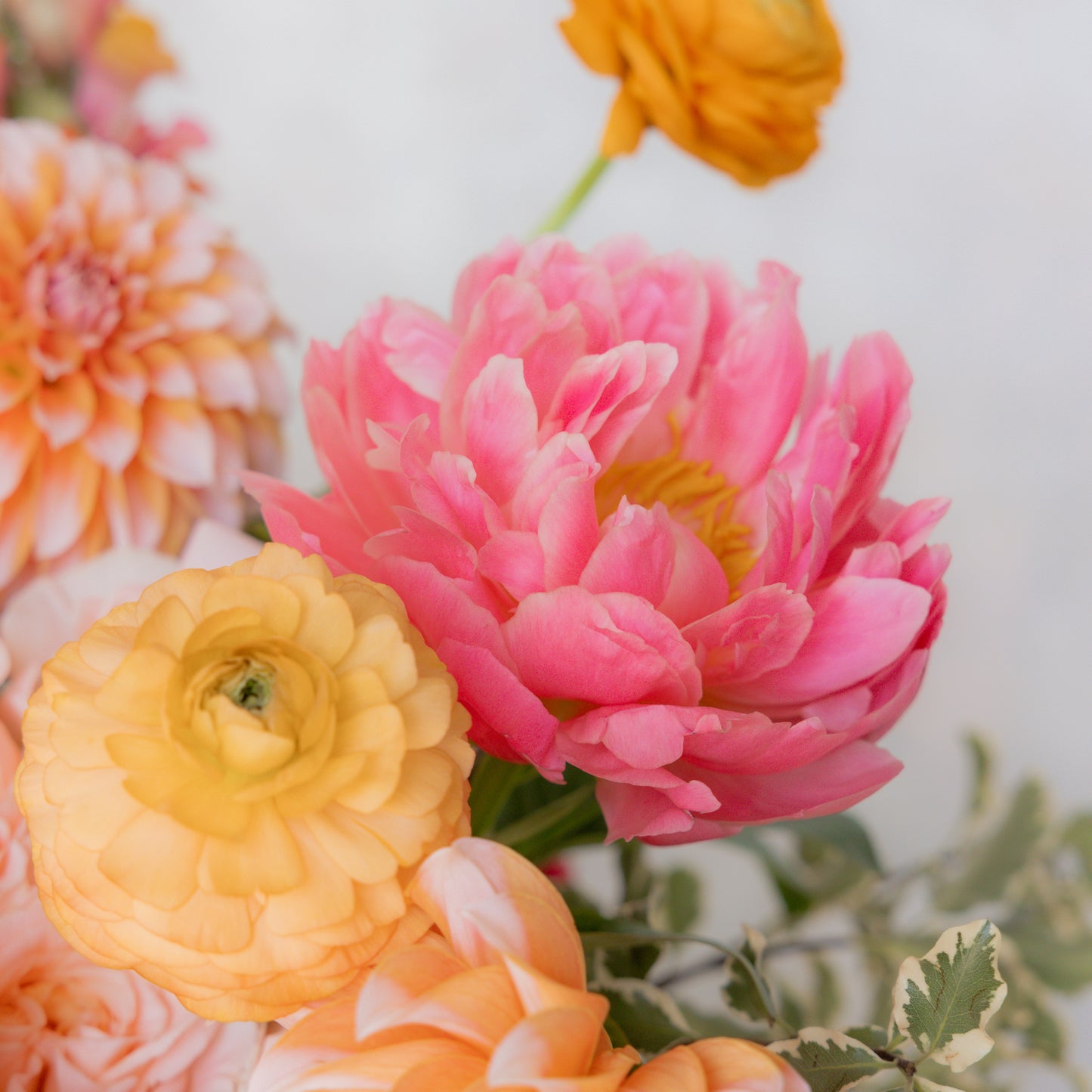 Aisle Floral - Vibrant Sorbet