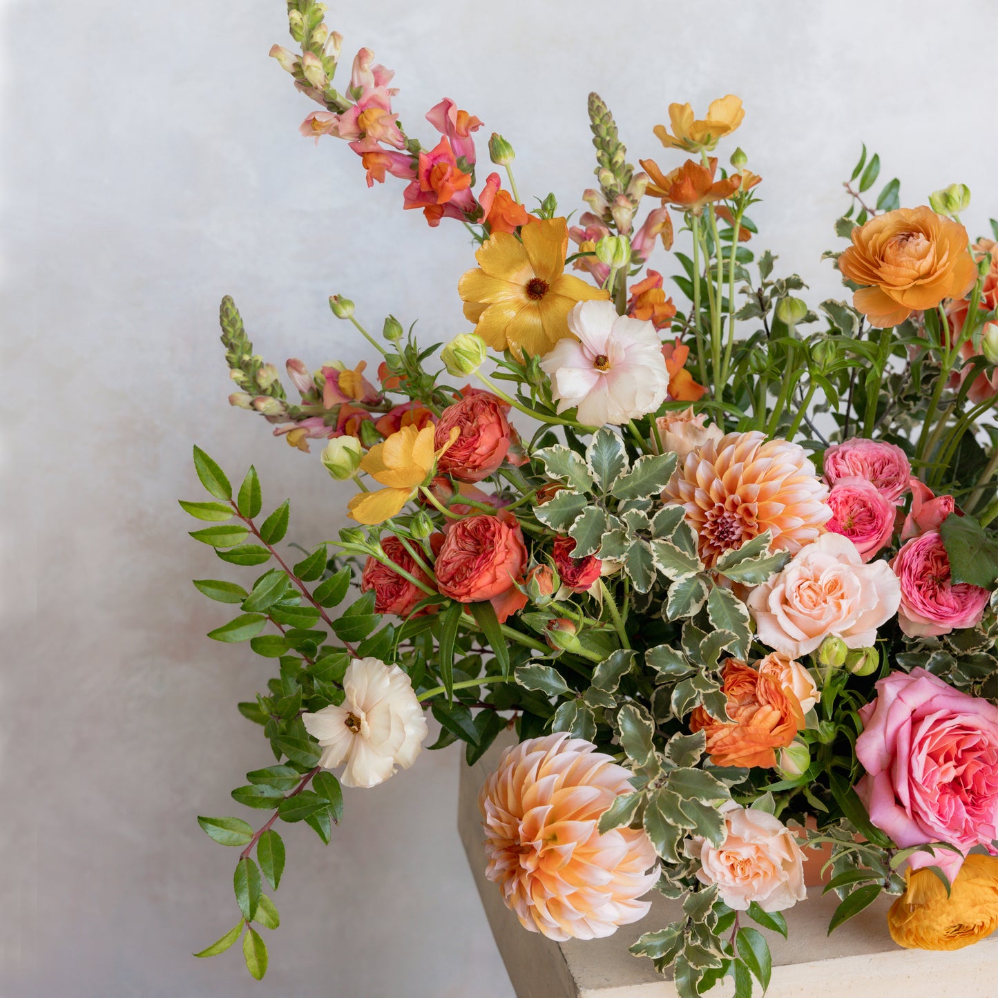 Accent Floral - Vibrant Sorbet