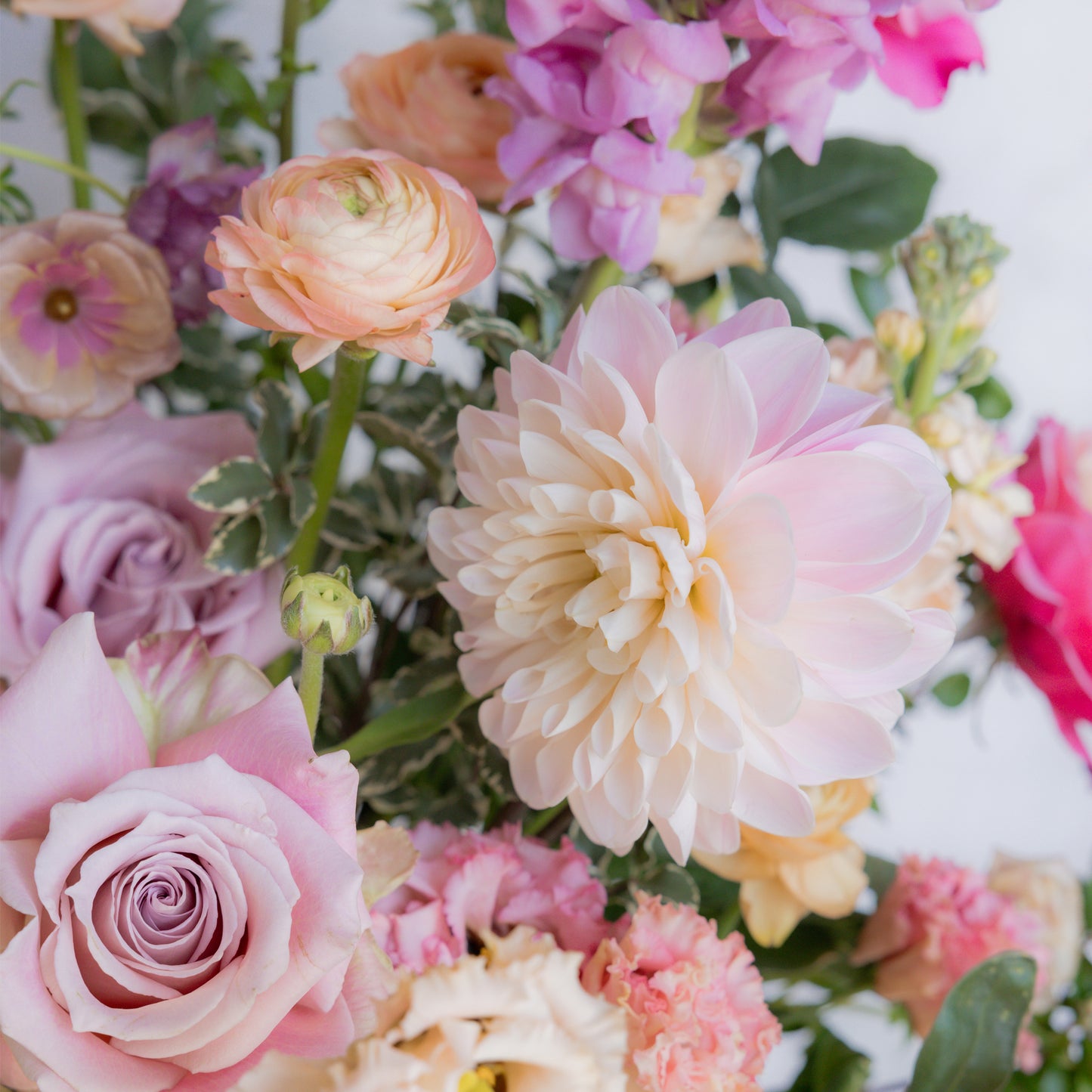 Accent Floral - Feminine Sunset