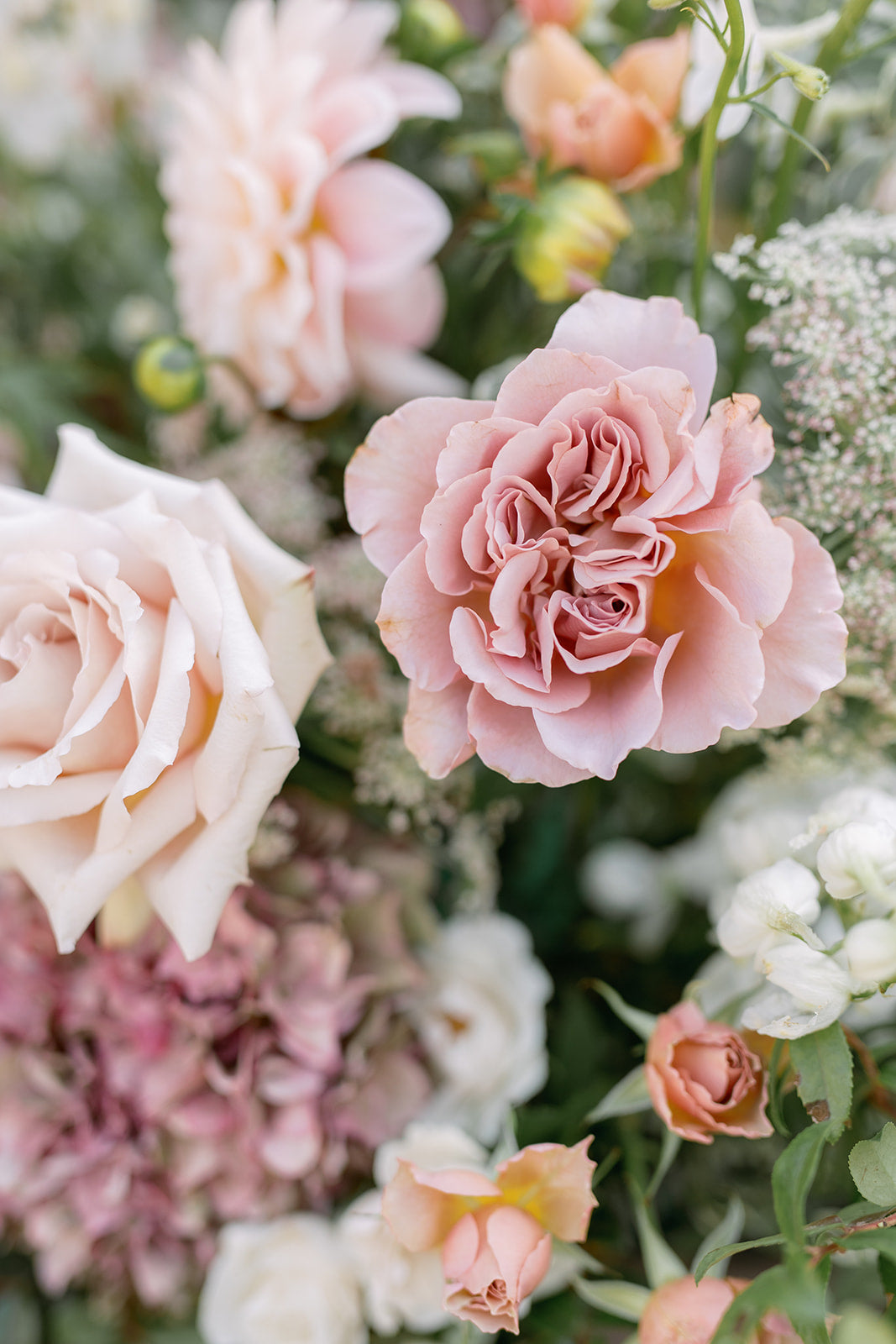 Floral Meadow - Semi-Circle