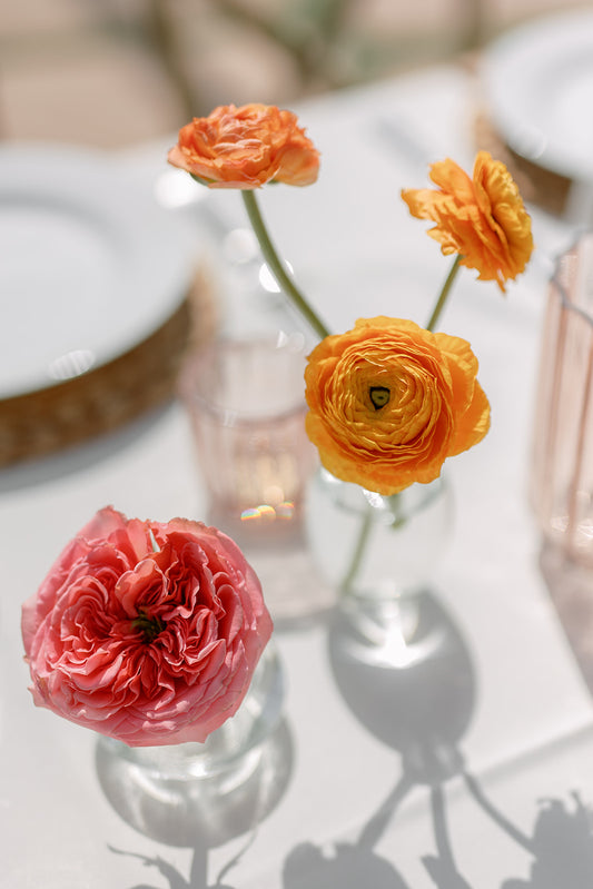 Bud Vase Trio - Vibrant Sorbet