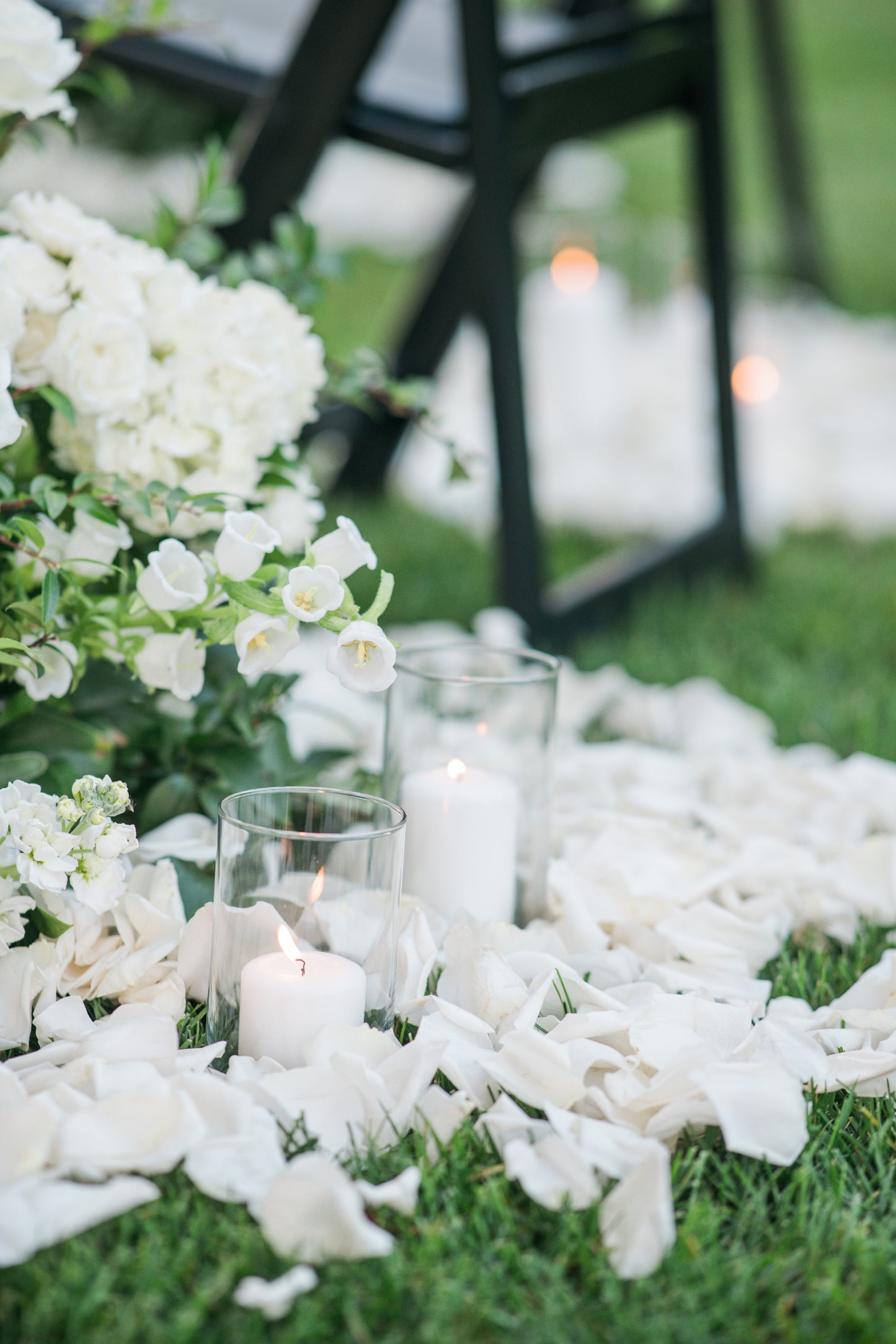 Rose Petals & Candles